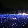 東京ミッドタウンのイルミネーション「スターライトガーデン」青と白の光が広がる電飾の絨毯は必見です！
