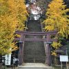 「愛宕神社」新橋のビル群に囲まれた、23区内で一番高い山にある出世の石段が有名なスポット