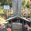 「天寧寺・新選組局長 近藤勇の墓」山中にひっそりと佇むお墓は、プチハイキングコースの先にありました