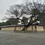 「京都御苑」広大な敷地にたくさんの植物や歴史スポットのある ゆっくりと散歩したいスポット［2016年3月 京都旅行記10］