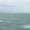 高知「桂浜」坂本龍馬が愛した海は、どこまでも広がる水平線を見られる絶景スポット［2015年7月 四国旅行記 その13］