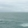 高知「桂浜」坂本龍馬が愛した海は、どこまでも広がる水平線を見られる絶景スポット［2015年7月 四国旅行記 その13］
