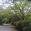 滋賀県「三井寺（天台寺門宗総本山園城寺）」紅葉寺とも呼ばれる秋の時期に訪れたい紅葉スポット［2015年9月 滋賀旅行記 その6］