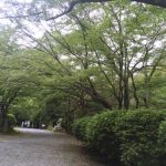 滋賀県「三井寺（天台寺門宗総本山園城寺）」紅葉寺とも呼ばれる秋の時期に訪れたい紅葉スポット［2015年9月 滋賀旅行記 その6］