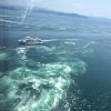 徳島から高知へと移動 名所も名物も堪能の旅 ［徳島高知旅行記ダイジェスト2］