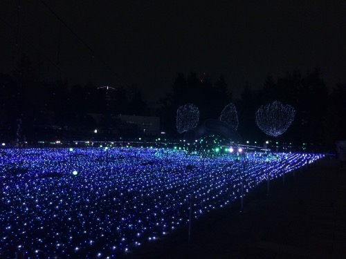 f:id:alu_nagara:20151126224147j:plain